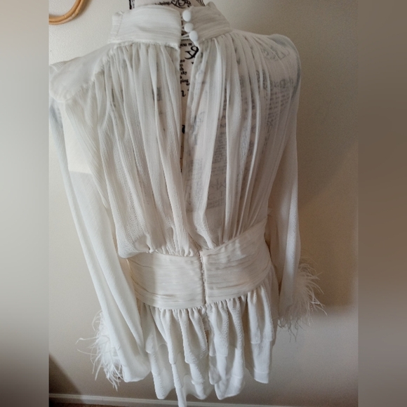 A Loves A Chiffon Feather Trim Ruched Mock Neck Long Sleeve Fit and Flare Dress - Picture 9 of 12